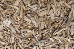 biomass boilers Austhorpe